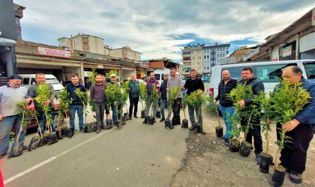 Altınordu'da 2 yılda 341 bin fidan toprakla buluşturuldu