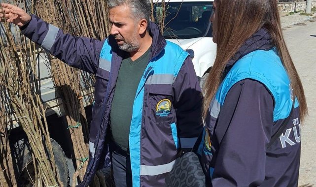 Altıntaş'ta fidan satışları denetimleri