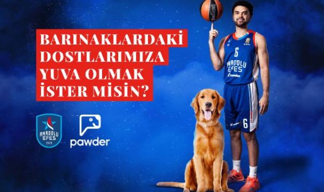 Anadolu Efes, depremzede köpeklerin ve barınak hayvanlarının sahiplendirilmesine destek olacak
