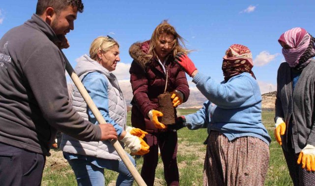 Antep fıstığı fidanları Elmalı'da toprakla buluşturuldu