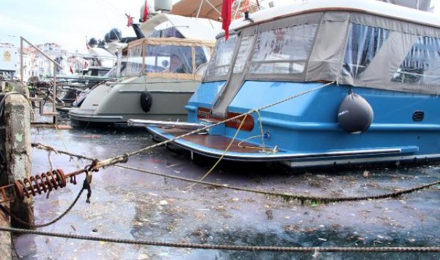 Arnavutköy sahilinde kirlilik