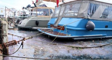 Arnavutköy sahilinde kirlilik