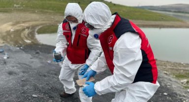 Arnavutköy'de kimyasal atık baraja karıştı; bakanlık inceleme yaptı