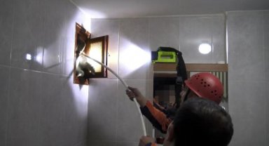 Avcılar'da binanın havalandırma boşluğuna düşen martı kurtarıldı