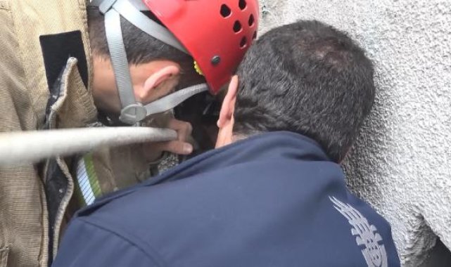 Avcılar'da havalandırma boşluğundaki yavru kediler duvar kırılarak kurtarıldı