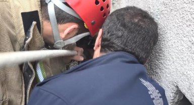 Avcılar'da havalandırma boşluğundaki yavru kediler duvar kırılarak kurtarıldı