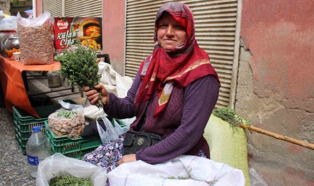 Aydın'da dağ kekikleri tezgahlarda yerini aldı