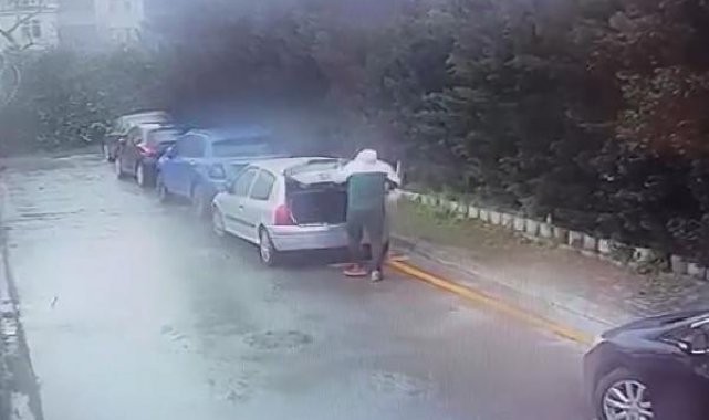 Bağcılar'da sitedeki kedileri poşetle götüren kişi hakkında suç duyurusu