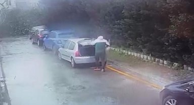 Bağcılar'da sitedeki kedileri poşetle götüren kişi hakkında suç duyurusu