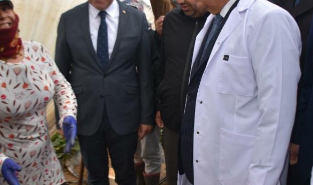 Bakan Vahit Kirişci: Örtü altı üretim alanı 811 bin dekara çıktı
