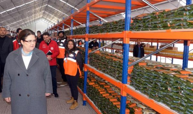 Bakan Yanık: Bugüne kadar 89 milyon ürün dağıttık
