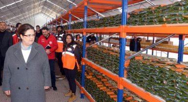 Bakan Yanık: Bugüne kadar 89 milyon ürün dağıttık