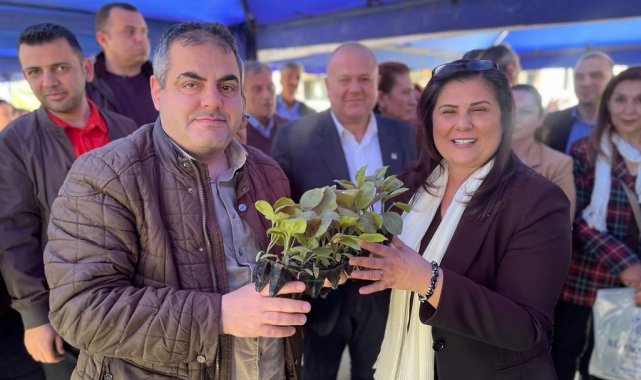 Başkan Çerçioğlu Nazilli'de fide dağıttı