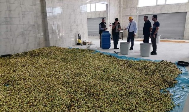 Bayburt'ta belediyenin kurduğu fabrika hem işçiye hem çiftçiye kazandırıyor