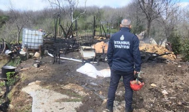 Beykoz'da ahır yangını: 1 inek ve 1 köpek öldü