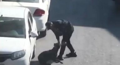 Beyoğlu'nda köpeğe eziyet ettiği belirlenen kişi gözaltına alındı