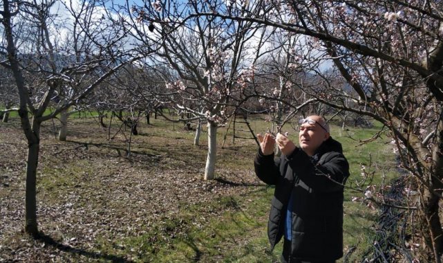 Beyşehir'de ekili alanlar ve meyve bahçelerinde hastalık taraması