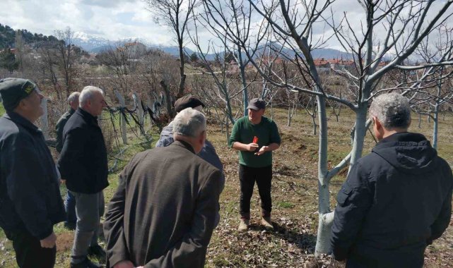 Beyşehir'de üreticilere uygulamalı ağaç bakımı eğitimi