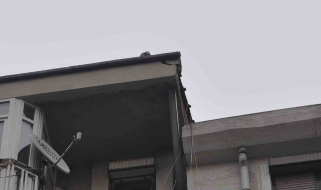 Bina çatısında endişe uyandıran tehlike giderildi