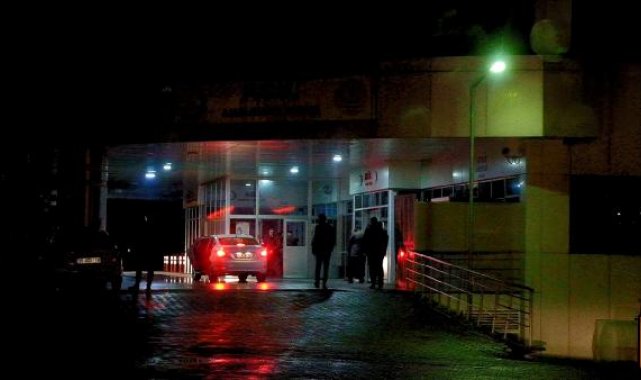 Bingöl'de hayvanlarını otlatırken yıldırım isabet eden kişi yaralandı
