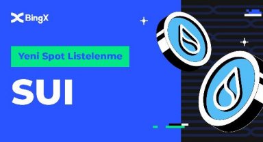 BingX, SUI Listelenmesini destekleyecek