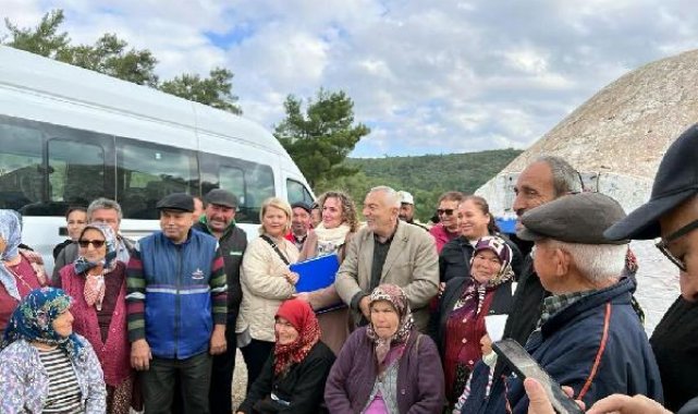 Bodrum'da taş ocağının bilirkişi raporu; toz, orman ve zeytin ağaçlarını olumsuz etkileyebilir