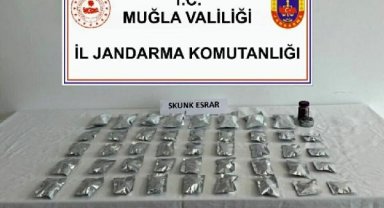 Bodrum'da uyuşturucu ticareti yapan şüpheliye gözaltı