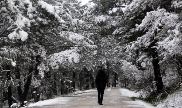 Bolu Abant'ta kar yağışı; 10 santimetreye ulaştı