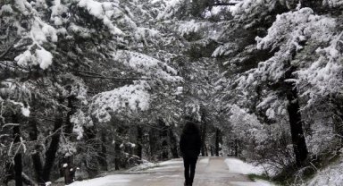 Bolu Abant'ta kar yağışı; 10 santimetreye ulaştı