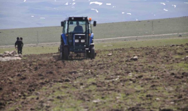 Bulanık'ta etkili olan yağışlar çiftçiye umut oldu