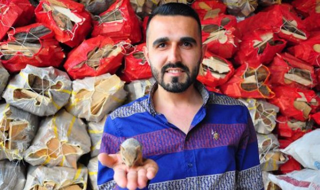 Bulduğu yavru sincabı biberonla besliyor