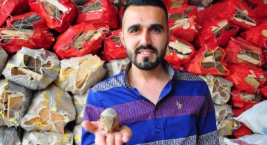 Bulduğu yavru sincabı biberonla besliyor
