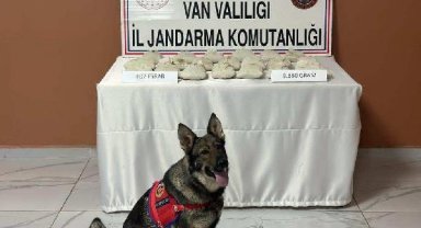 Çalılıklar arasına gizlenmiş 9 kilo 880 gram esrar ele geçirildi