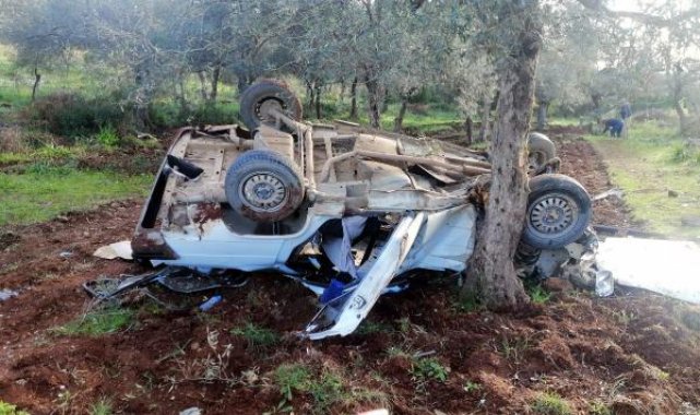 Çarpışan kamyonet ile otomobil zeytinliğe uçtu: 8 yaralı