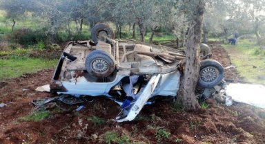 Çarpışan kamyonet ile otomobil zeytinliğe uçtu: 8 yaralı