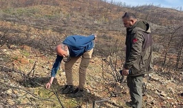 Datça'daki yangın sahasında incelemelerde bulunuldu