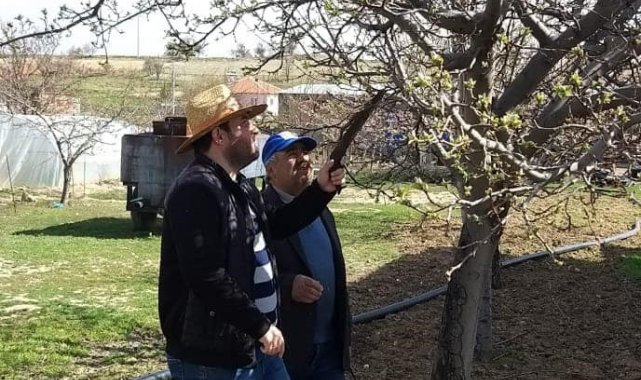 Dazkırı ve Kızılören'de ağaçlarda zararlı kontrolleri ve budama eğitimi yapıldı