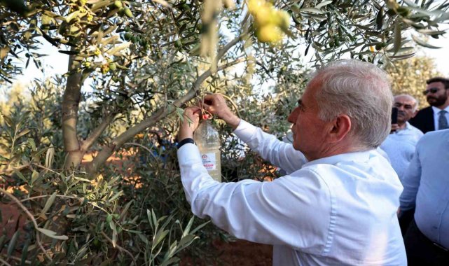 Denizli'de zeytin üreticilerine biyoteknik mücadele desteği verilecek