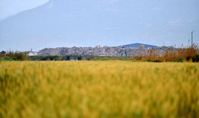 Deprem molozları, Milleyha Kuş Cenneti'ne 100 metre uzaklıktaki alanda dağ gibi oldu
