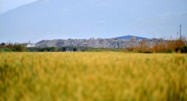 Deprem molozları, Milleyha Kuş Cenneti'ne 100 metre uzaklıktaki alanda dağ gibi oldu