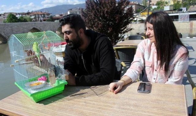 Depremzede çiftin yanlarından ayırmadıkları muhabbet kuşu kazada kayboldu