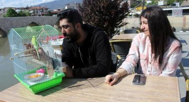 Depremzede çiftin yanlarından ayırmadıkları muhabbet kuşu kazada kayboldu