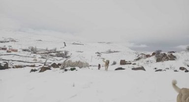 Diyarbakır, Bingöl ve Batman'da kar ile dolu etkili oldu