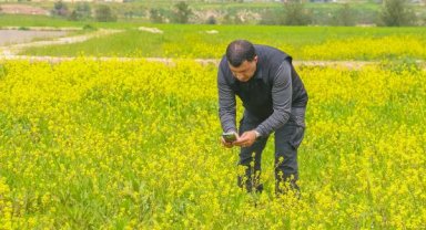 Diyarbakır'da kelebek göçü başladı