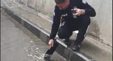 Diyarbakır'da sağanak; yollar göle döndü