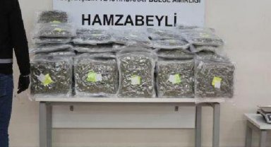 Edirne'de 63 kilo uyuşturucu ele geçirildi