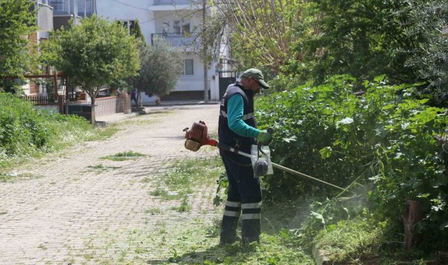 Efeler'in ekiplerinden bahar temizliği