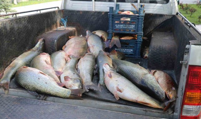 Elazığ'da kaçak avlanan 2,5 ton balık ele geçirildi