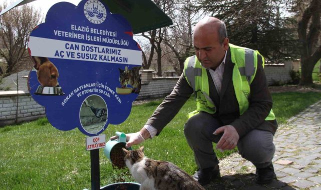 Elazığ'da sokak hayvanları unutulmadı