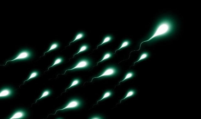 En az 550 çocuğun sperm donörü olan adamın, sperm bağışlaması yasaklandı